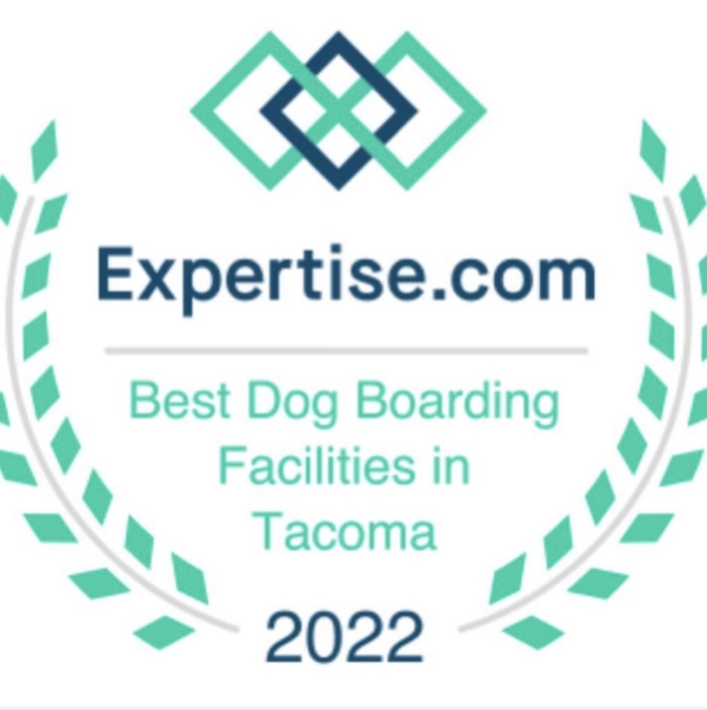 Best Dog Boarding Facility